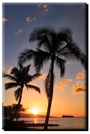 Wailea Sunset Two Palms on Metal